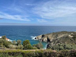 Appartement T2 Vue sur Mer BANYULS SUR MER
